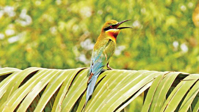 ডেমো নিউজ - 16